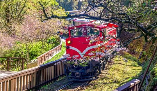 探秘阿里山 寶島風情遊 純玩7日5晚 <span id=docs-internal-guid-bb0bcb5e-7fff-1229-1d30-9b712a708ff2><span style=font-size: 12pt; font-family: "Microsoft Yahei"; color: rgb(0, 0, 0); background-color: transparent; font-weight: 700; font-variant-numeric: normal; font-variant-east-asian: normal; font-variant-alternates: normal; font-variant-position: normal; font-variant-emoji: normal; vertical-align: baseline; white-space-collapse: preserve;>臺南-高雄Tainan-Kaohsiung</span></span> 探秘阿里山 寶島風情遊 純玩7日5晚 <span id=docs-internal-guid-bb0bcb5e-7fff-1229-1d30-9b712a708ff2><span style=font-size: 12pt; font-family: "Microsoft Yahei"; color: rgb(0, 0, 0); background-color: transparent; font-weight: 700; font-variant-numeric: normal; font-variant-east-asian: normal; font-variant-alternates: normal; font-variant-position: normal; font-variant-emoji: normal; vertical-align: baseline; white-space-collapse: preserve;>臺南-高雄Tainan-Kaohsiung</span></span>